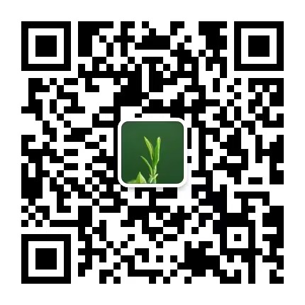 茶食新知公众号二维码